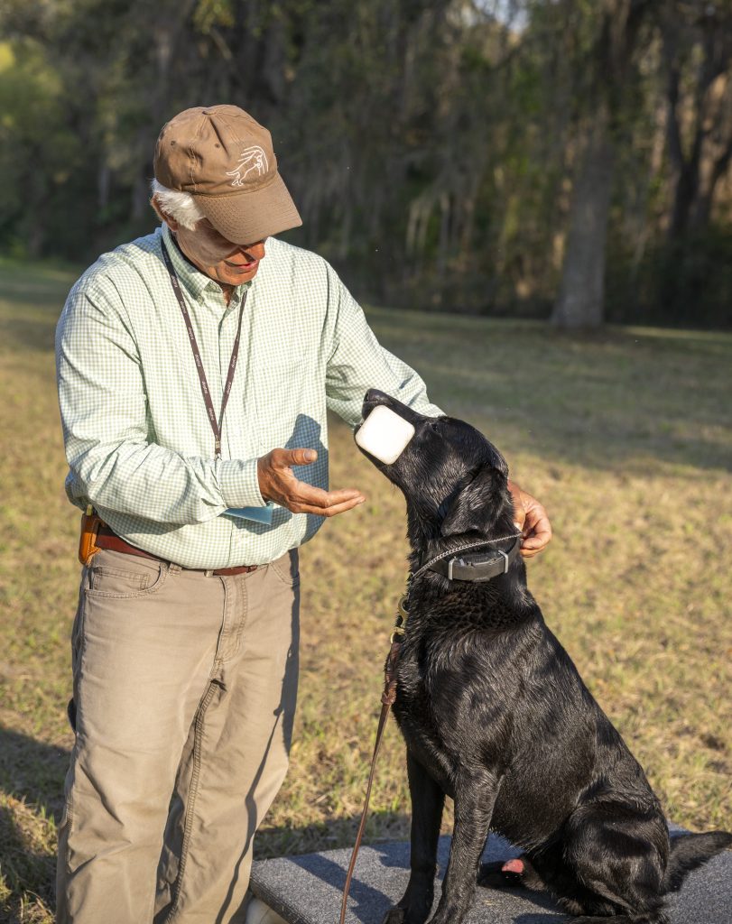 This show Pat Nolan and Labrador retriever. Pat ie teaching the dog to hold a dumbbell